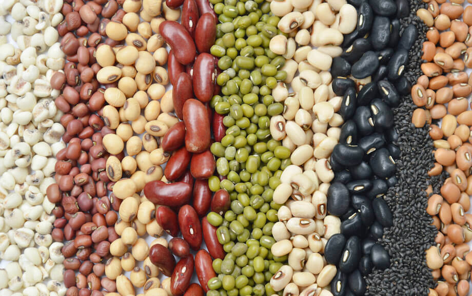 A variety of beans in rows sorted by color