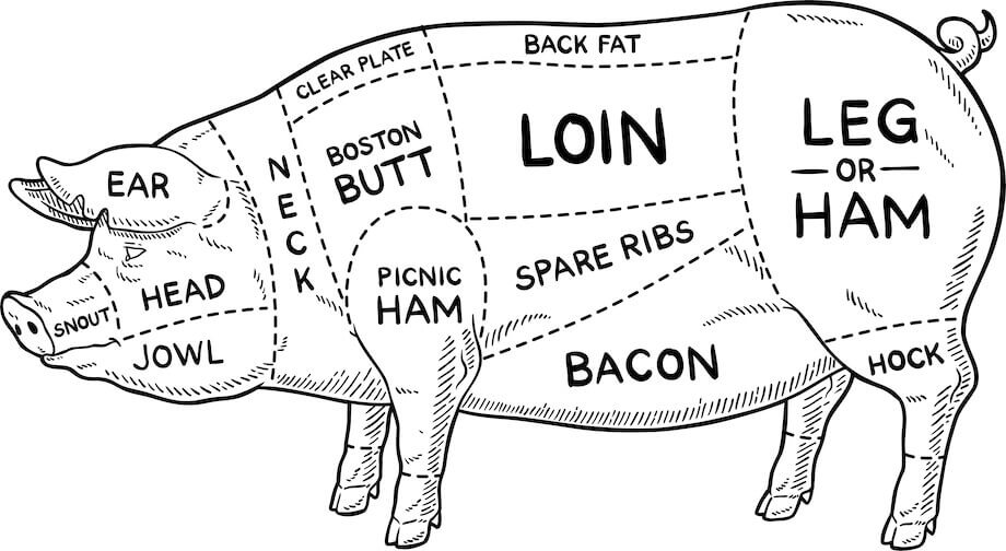 Diagram of the different types of pork cuts
